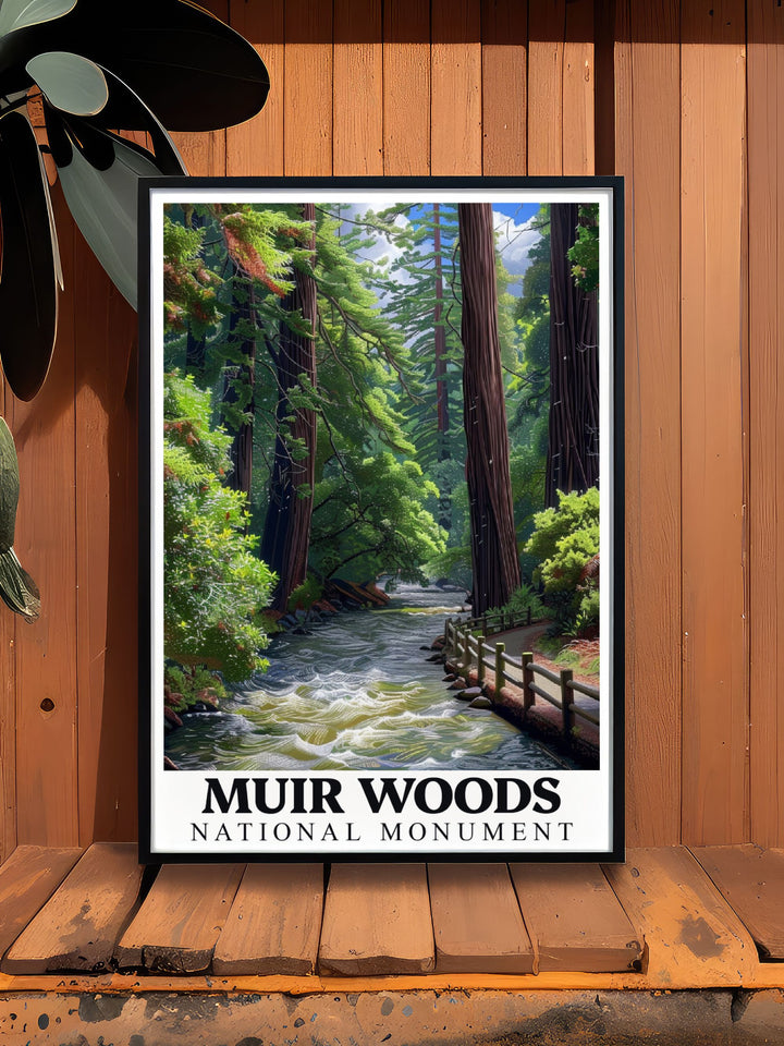 Muir Creek framed prints capturing the timeless beauty of Muir Woods National Monument ideal for creating a serene sanctuary in any room of your home