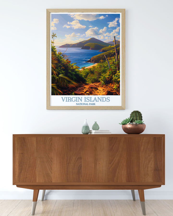 Modern art print of Reef Bay Trail bringing the vibrant life and serene beauty of this tropical paradise into your home for stunning living room decor