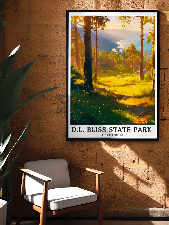 Our Emerald Bay Lake Tahoe modern decor pieces are perfect for anyone looking to add a touch of Californias natural beauty to their home. Featuring Bliss State Park these prints capture the stunning vistas of Lake Tahoe making them a versatile addition to any space