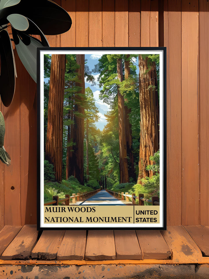 Trails framed prints capturing the timeless beauty of Muir Woods National Monument ideal for creating a serene sanctuary in any room of your home