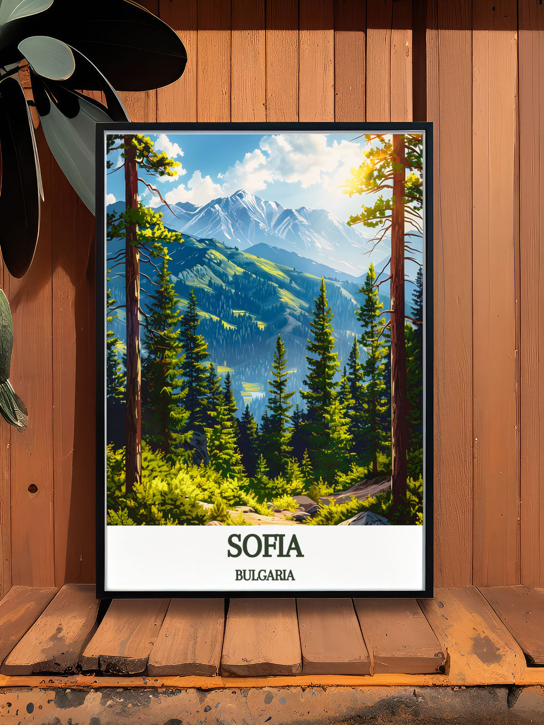 High quality Sofia Photo of BULGARIA Vitosha mountain showcasing its stunning natural beauty perfect for adding a sophisticated touch to your home or office.