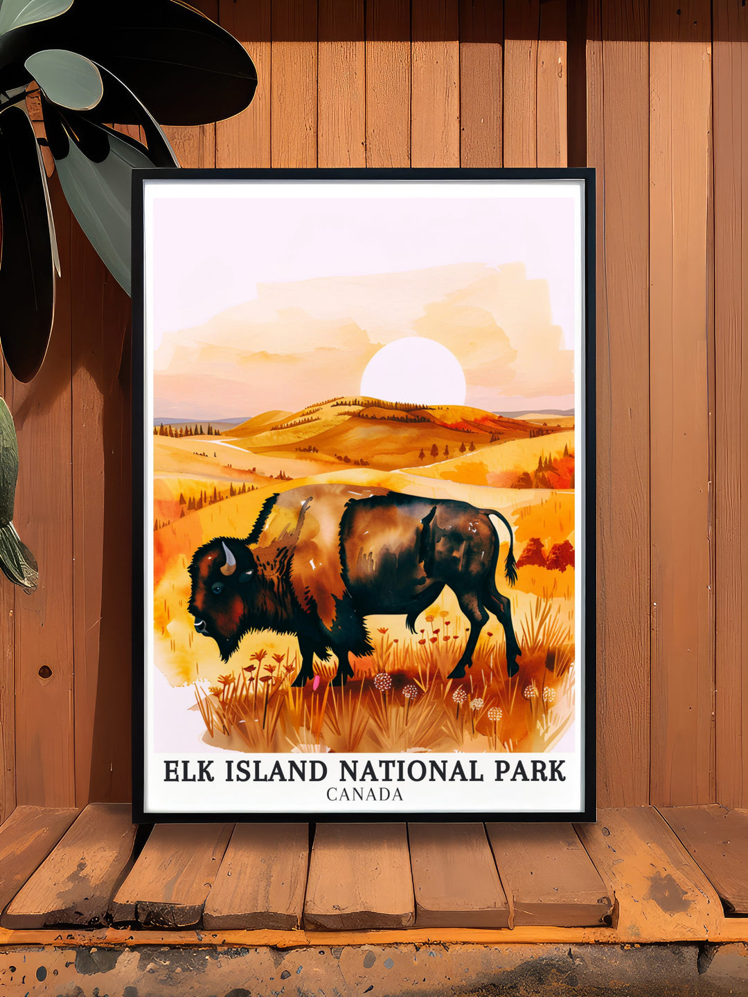 Plains bison canvas art featuring the iconic wildlife of Elk Island National Park. This artwork highlights the strength and resilience of the bison, making it a striking piece for any room in your home.