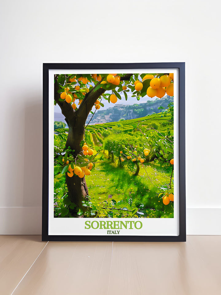 Elevate your home with our Sorrento photo art print highlighting the vibrant colors and fine lines of the Hills of Sorrento Peninsula.