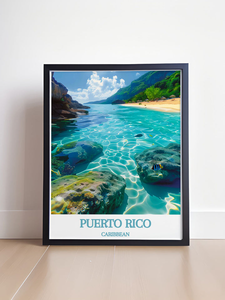 Detailed Arecibo city map poster with the iconic CARIBBEAN, Culebra and Vieques Biosphere Reserve. Perfect for travel enthusiasts and art collectors. This vintage print offers a unique perspective of Puerto Ricos rich biodiversity and stunning landscapes.