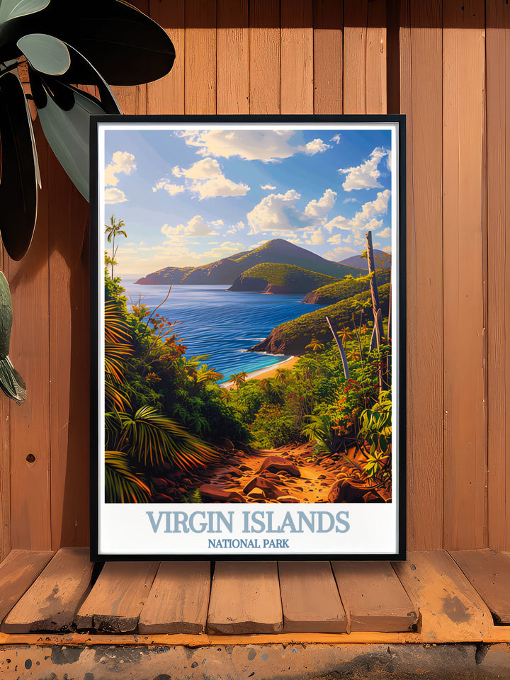 Elegant framed print of Reef Bay Trail ideal for living rooms featuring vibrant colors and detailed scenery capturing the beauty of the Virgin Islands