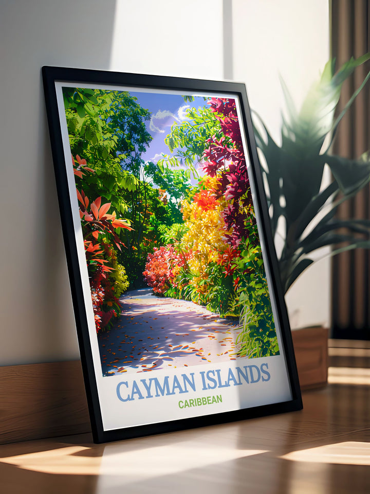 Stunning Queen Elizabeth II Botanic Park prints showcasing the natural beauty of the Cayman Islands available as a modern art piece or framed print perfect for those who appreciate sophisticated travel posters and unique wall art