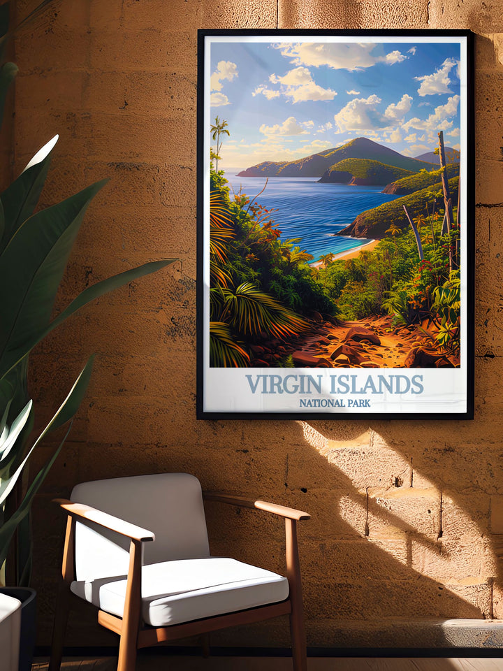 Stunning living room decor featuring a framed print of Reef Bay Trail with vibrant colors and intricate details capturing the essence of the Virgin Islands