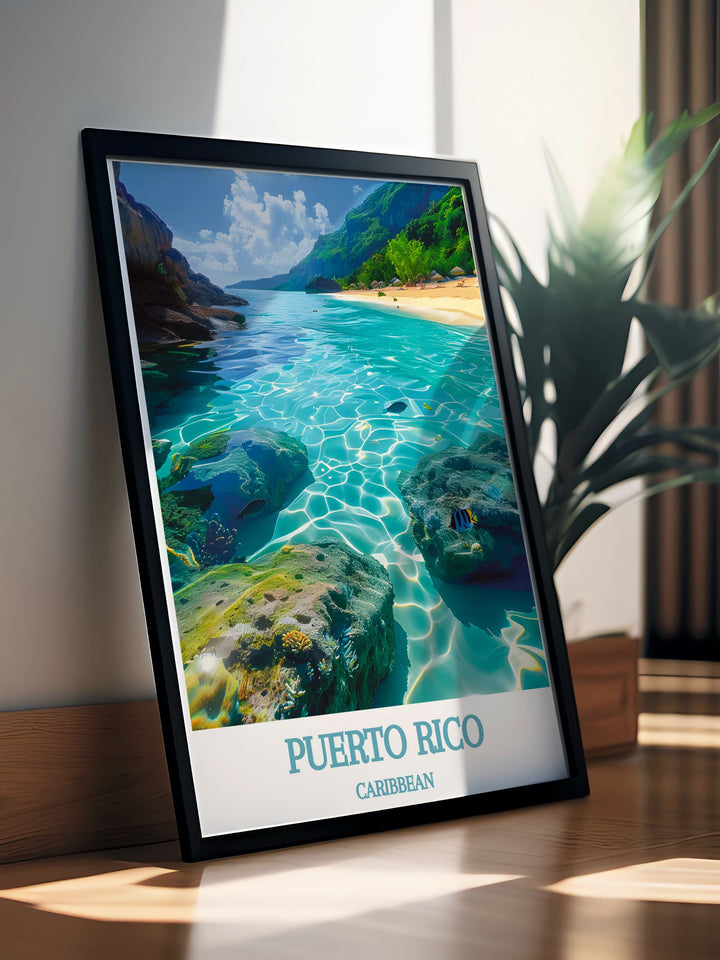 CARIBBEAN, Culebra and Vieques Biosphere Reserve vintage poster with a rich color palette and detailed artwork. Perfect Arecibo gift for nature lovers and travel enthusiasts. Enhances home decor with a piece of Puerto Ricos beauty.