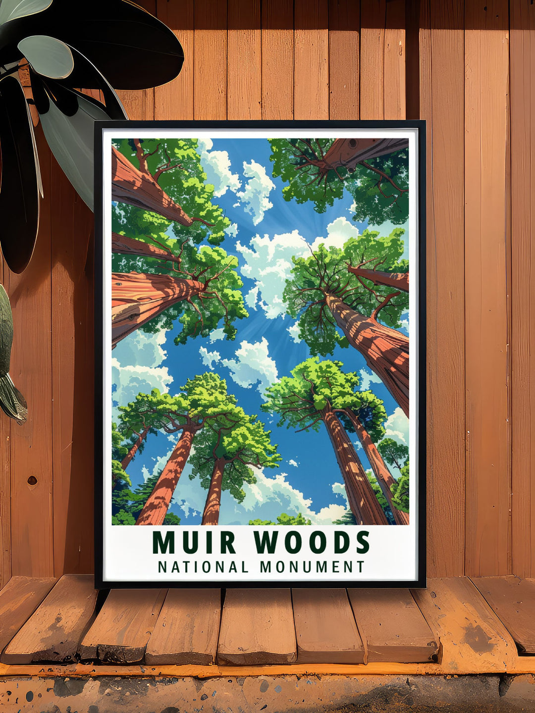 Redwood framed prints capturing the timeless beauty of Muir Woods National Monument ideal for creating a serene sanctuary in any room of your home