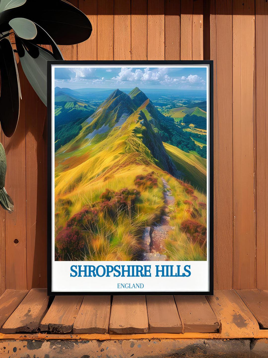 This Shropshire Print with Ludlow Castle offers a captivating view of the Shropshire Hills AONB featuring the historic landmarks and lush landscapes that make this area so unique perfect for anyone who loves art that celebrates Englands natural beauty.