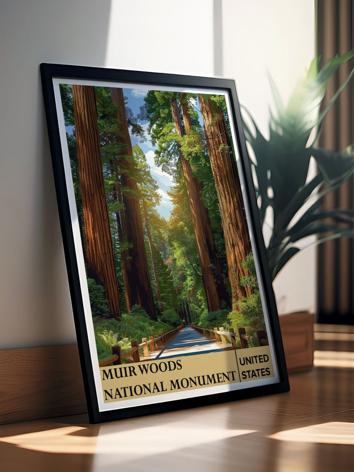 Detailed Trails modern decor print featuring the Botanical Garden within Muir Woods brings natures tranquility into your home ideal for nature lovers and art enthusiasts