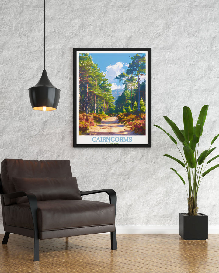 Rothiemurchus Forest print highlighting the majestic and peaceful scenery of the Cairngorms. A perfect addition to any travel collection or gallery wall. This print enhances your decor with the beauty of Scotland, making it a cherished piece for art lovers.