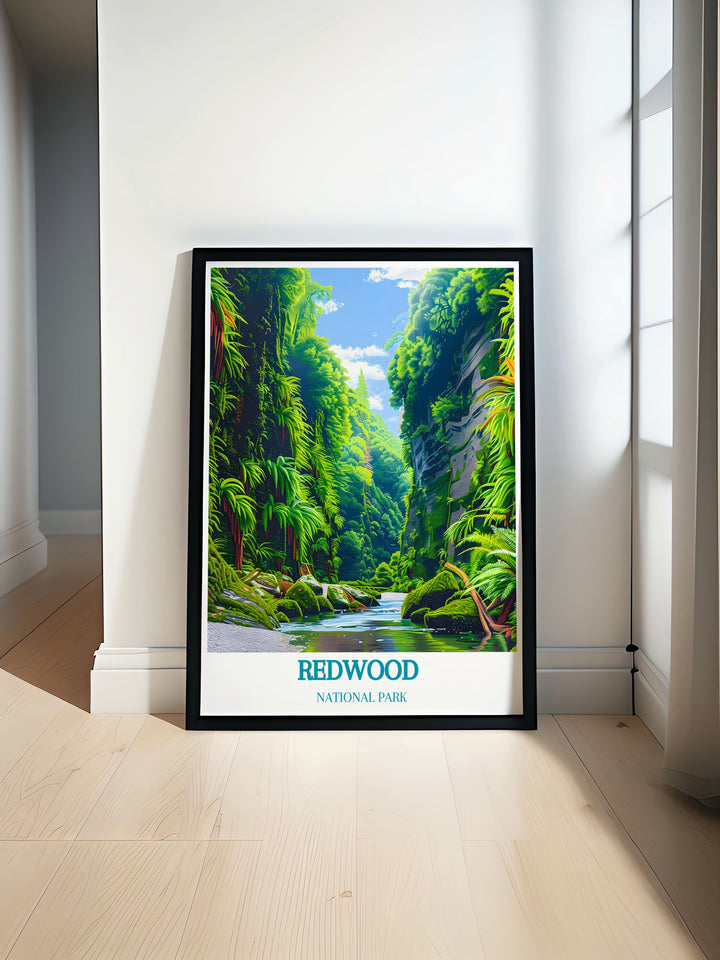 Fern Canyon modern print showcasing the lush greenery and serene beauty of Californias redwood forest ideal for elegant home decor and gifts