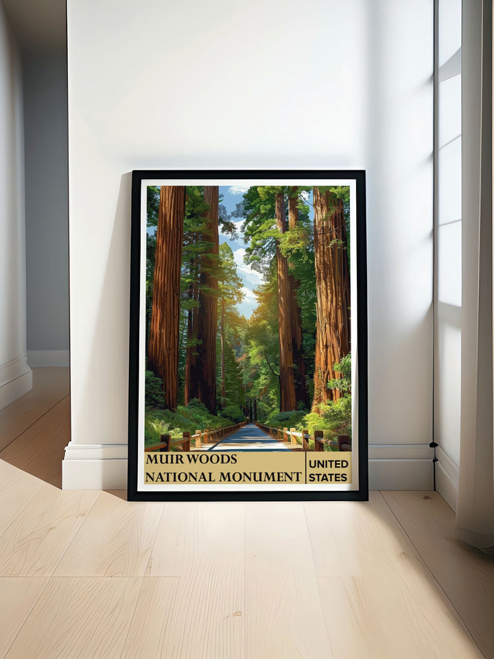 Elegant black and white fine line print of Trails in Muir Woods National Monument perfect for enhancing home decor and creating a sophisticated living room ambiance ideal anniversary or birthday gift option