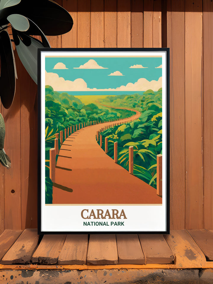 Carara National Park Framed Art captures the trails beauty, filled with exotic wildlife and stunning landscapes. This artwork is perfect for those wanting to bring a touch of Costa Ricas wild beauty to their home.