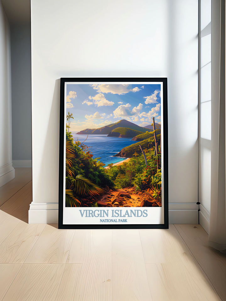 Stunning print of Reef Bay Trail in the US Virgin Islands showcasing lush greenery and clear waters perfect for modern home decor and elegant wall art