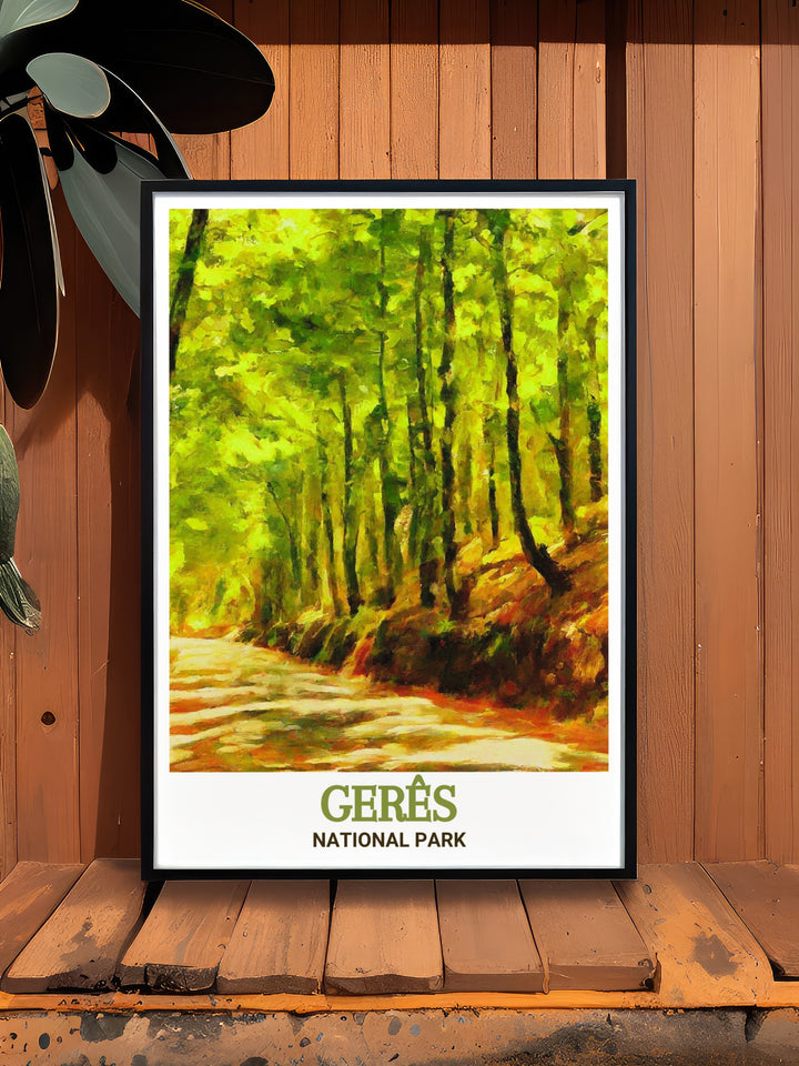 Bring the serenity of Mata da Albergaria in Geres National Park into your home with this beautiful wall art ideal for nature enthusiasts and those who love unique travel gifts this national park poster adds a calming and elegant touch to any living space