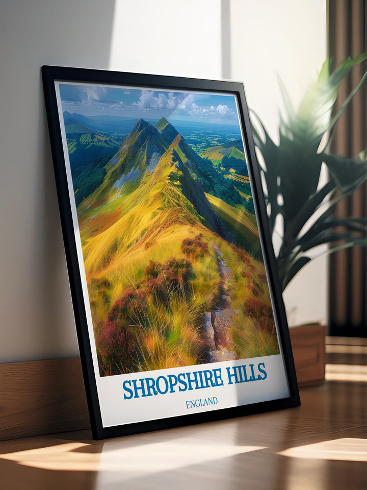 Ludlow Castle Modern Art combined with Shropshire Hills Poster captures the timeless charm of the Shropshire Hills AONB making it a standout piece in any home or office where art and history are valued as essential elements of interior design.