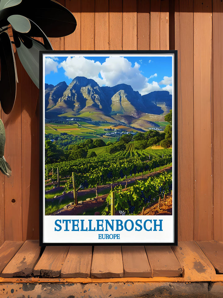 Capture the essence of Stellenboschs rich winemaking tradition with this art print, featuring the serene vineyards and historic homesteads.