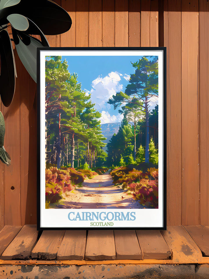 Rothiemurchus Forest wall art piece ideal for nature lovers and travelers. Features stunning landscapes of the Cairngorms. Adds a touch of the Scottish Highlands to your living space. High quality print ensures longevity and vibrant colors.