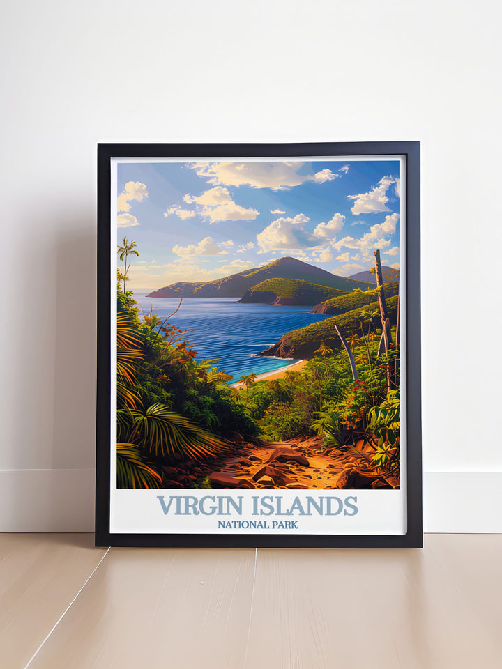 Vintage travel print of Reef Bay Trail offering a breathtaking view of this iconic location in the US Virgin Islands perfect for adding a touch of nature to your home