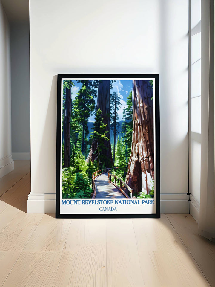 Giant Cedars Boardwalk Trail print features breathtaking Canadian scenery showcasing Mount Revelstoke and Banff National Park. A perfect addition to your home decor with its retro travel poster style that highlights the natural beauty of the Rocky Mountains.