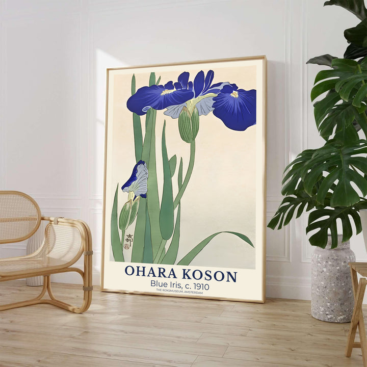 Classic 1910 Japanese Shin-hanga art print featuring blue iris stems referencing exhibit archives at The Rijksmuseum, Amsterdam. MapYourDreams supplies framed, unframed, and canvas poster formats for home wall decor.