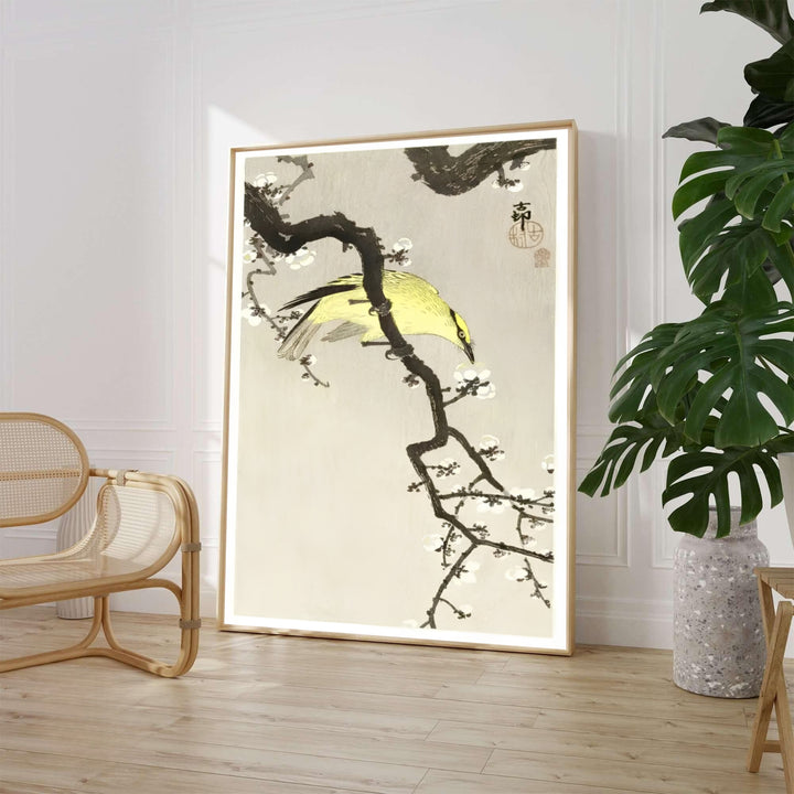 Ohara Koson 1900 1910 Japanese bird print showcasing a yellow songbird and plum blossoms from Kyoto museum archives. MapYourDreams features high-quality framed, unframed, and stretched canvas print options.