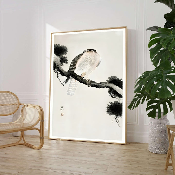 Classic 1900 1930 Japanese Kacho-ga art print by artist Ohara Koson featuring a hawk referencing traditional Tokyo printmakers. MapYourDreams supplies framed, unframed, and canvas poster formats for home wall decor.