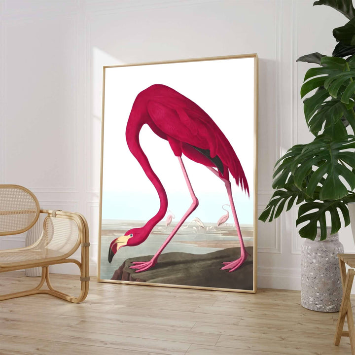 Evoking the rigorous scientific observation and vibrant watercolor techniques celebrated in historic American natural history expeditions, this exquisite American Flamingo 1838 print highlights dramatic crimson tones and coastal habitats. Whether you prefer a minimalist unframed art print, a polished framed wall hanging, or a ready-to-hang museum-style canvas wrap from MapYourDreams, this wildlife study enriches any interior.