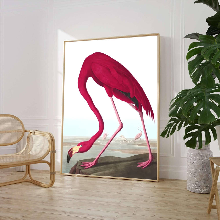 Evoking the rigorous scientific observation and vibrant watercolor techniques celebrated in historic American natural history expeditions, this exquisite American Flamingo 1838 print highlights dramatic crimson tones and coastal habitats. Whether you prefer a minimalist unframed art print, a polished framed wall hanging, or a ready-to-hang museum-style canvas wrap from MapYourDreams, this wildlife study enriches any interior.