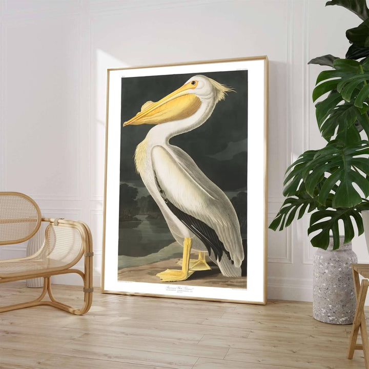 Evoking the rigorous scientific observation and dramatic watercolor techniques celebrated in historic American natural history expeditions, this exquisite American White Pelican 1838 print highlights stark white plumage against a moody backdrop. Whether you prefer a minimalist unframed art print, a polished framed wall hanging, or a ready-to-hang museum-style canvas wrap from MapYourDreams, this wildlife study enriches any interior.