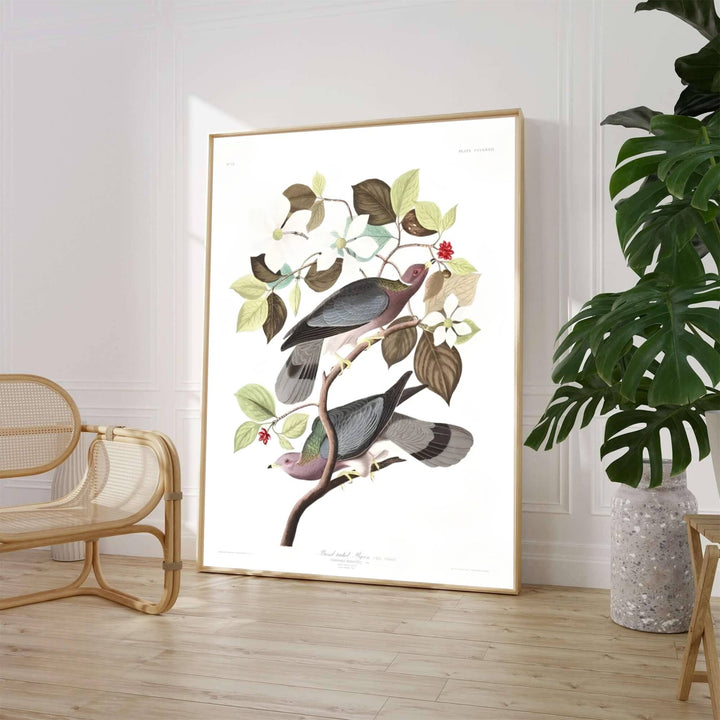 Evoking the rigorous scientific observation and vibrant watercolor techniques celebrated in historic American natural history expeditions, this exquisite Band-Tailed Pigeon 1838 print highlights slate-grey plumage and delicate botanical details. Whether you prefer a minimalist unframed art print, a polished framed wall hanging, or a ready-to-hang museum-style canvas wrap from MapYourDreams, this wildlife study enriches any interior.