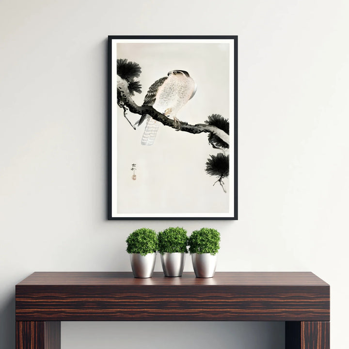 Powerful 1900 1930 Japanese wildlife poster by artist Ohara Koson displaying a falcon on pine branches inspired by Kamakura mountain culture. Discover tailored framed, unframed, and canvas print decor options at MapYourDreams.