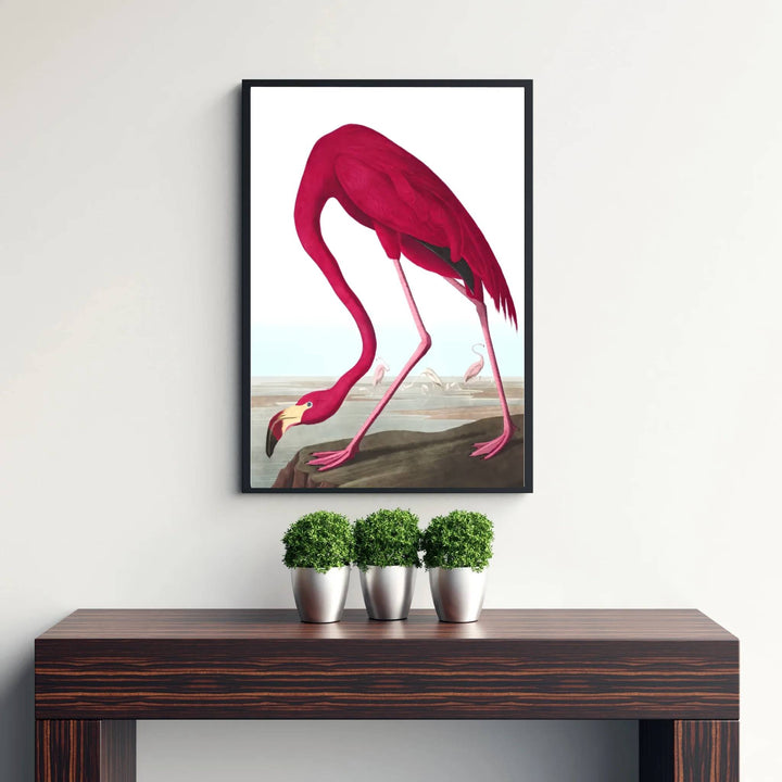 Transporting viewers straight into 19th-century scientific salons and grand natural history libraries, this American Flamingo 1838 art print highlights dramatic scale and an authentic coastal layout. MapYourDreams offers this heritage piece in versatile formats, from minimalist unframed posters to sophisticated framed structures and rich gallery canvas wraps.