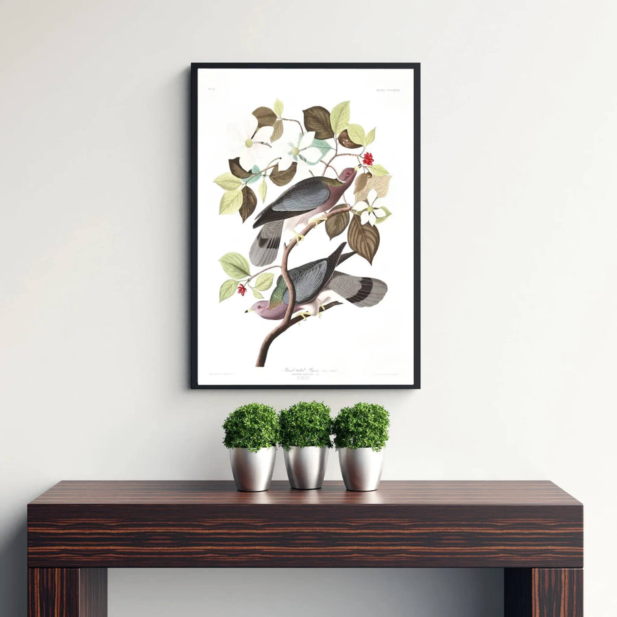 Transporting viewers straight into 19th-century scientific salons and grand natural history libraries, this Band-Tailed Pigeon 1838 art print highlights delicate branching and an authentic woodland layout. MapYourDreams offers this heritage piece in versatile formats, from minimalist unframed posters to sophisticated framed structures and rich gallery canvas wraps.