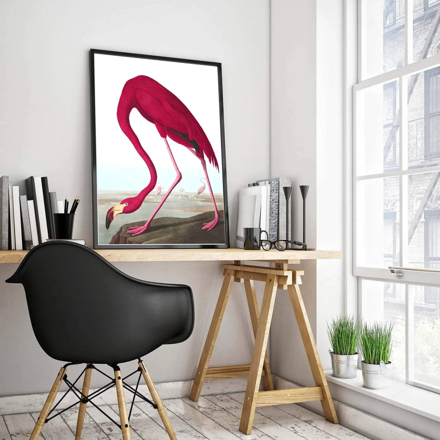 Merging rigorous empirical tracking with lyrical watercolor grace from international archival holdings, this intricate American Flamingo 1838 print brings a sophisticated scholarly ambiance to rooms. MapYourDreams ensures versatile styling through options including lightweight unframed paper posters, sturdy custom framed designs, and premium canvas wall art.