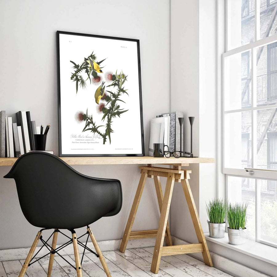 Merging rigorous empirical tracking with lyrical watercolor grace from international archival holdings, this intricate American Goldfinch 1838 print brings a sophisticated scholarly ambiance to rooms. MapYourDreams ensures versatile styling through options including lightweight unframed paper posters, sturdy custom framed designs, and premium canvas wall art.