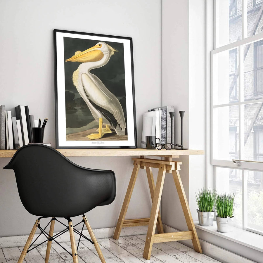 Merging rigorous empirical tracking with lyrical watercolor grace from international archival holdings, this intricate American White Pelican 1838 print brings a sophisticated scholarly ambiance to rooms. MapYourDreams ensures versatile styling through options including lightweight unframed paper posters, sturdy custom framed designs, and premium canvas wall art.