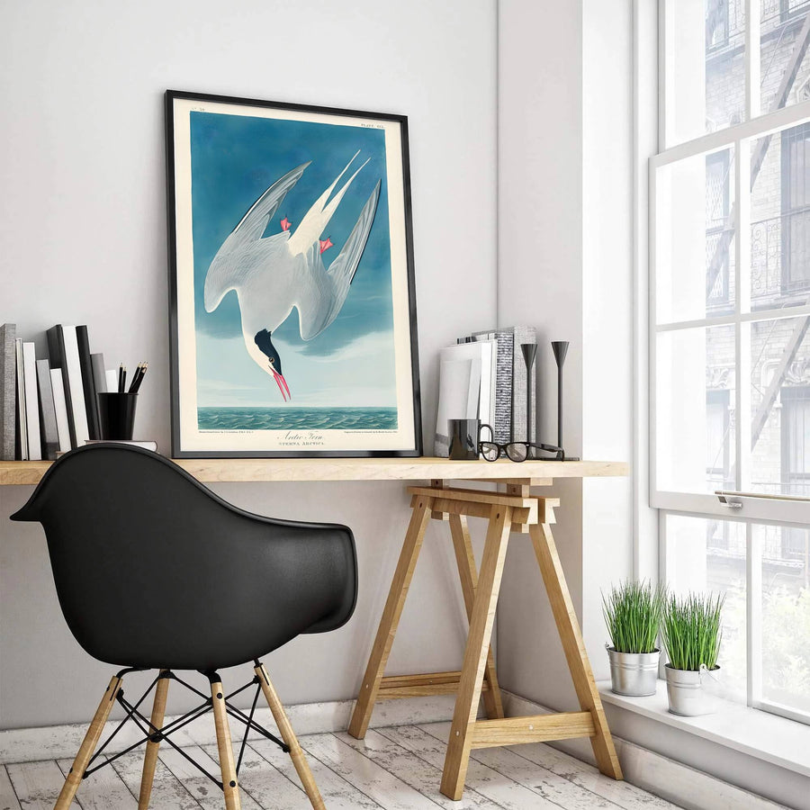 Merging rigorous empirical tracking with lyrical watercolor grace from international archival holdings, this intricate Arctic Tern 1838 print brings a sophisticated scholarly ambiance to rooms. MapYourDreams ensures versatile styling through options including lightweight unframed paper posters, sturdy custom framed designs, and premium canvas wall art.