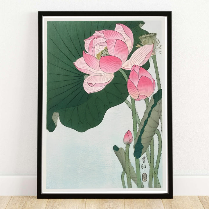 Ohara Koson Blooming Lotus Flowers Japanese woodblock print set in a Tokyo Shinobazu Pond garden style. MapYourDreams provides custom framed, unframed, and canvas wall art decor choices.