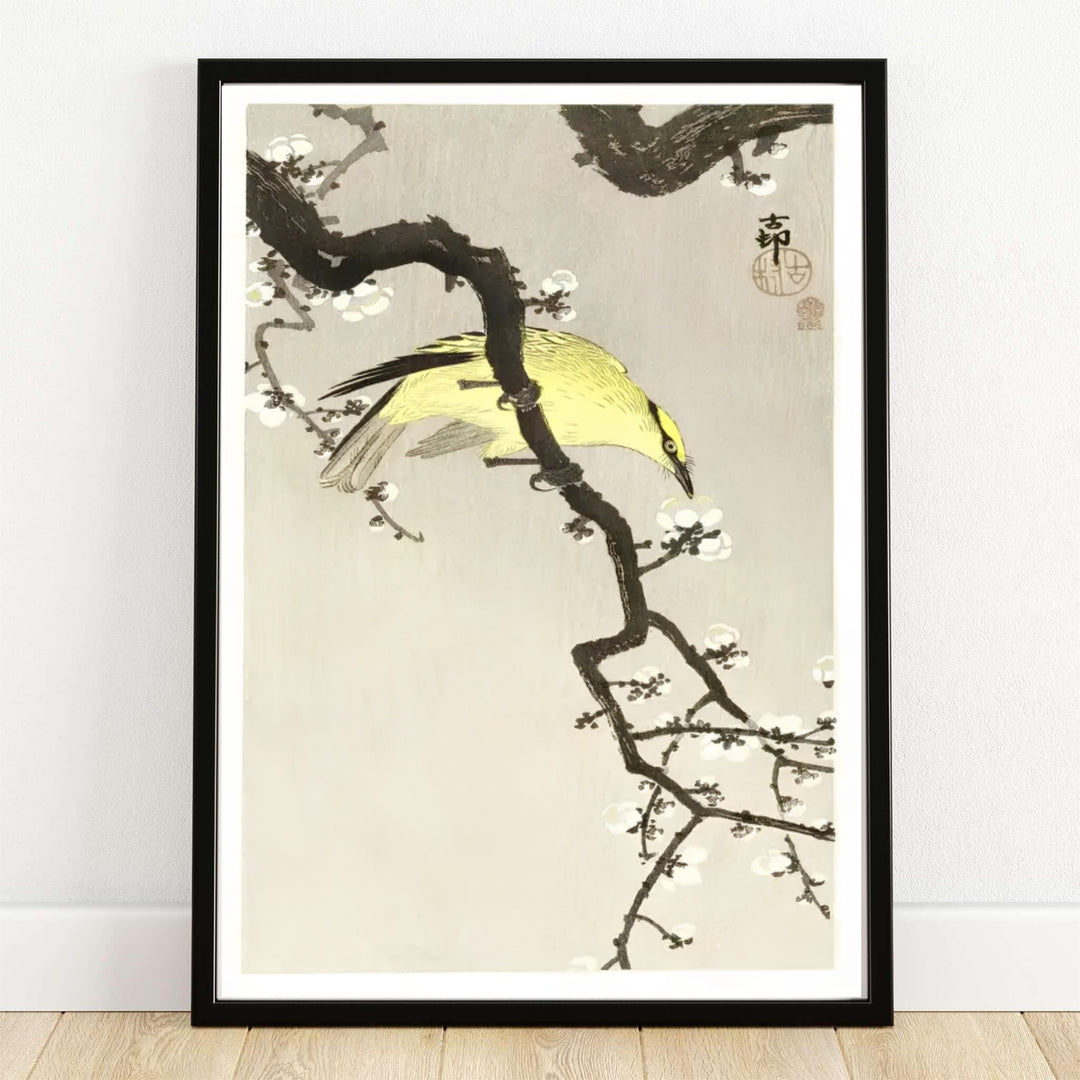 Ohara Koson Chinese Oriole On Plum Blossom Branch 1900 1910 Japanese woodblock print set in a Tokyo Ueno Park garden style. MapYourDreams provides custom framed, unframed paper, and canvas wall art decor choices.