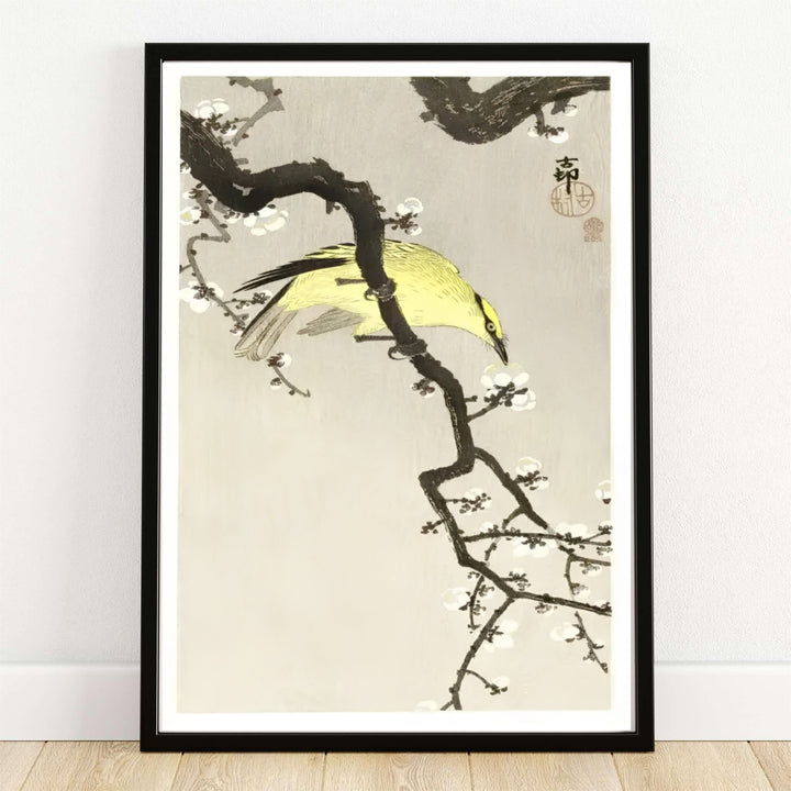 Ohara Koson Chinese Oriole On Plum Blossom Branch 1900 1910 Japanese woodblock print set in a Tokyo Ueno Park garden style. MapYourDreams provides custom framed, unframed paper, and canvas wall art decor choices.