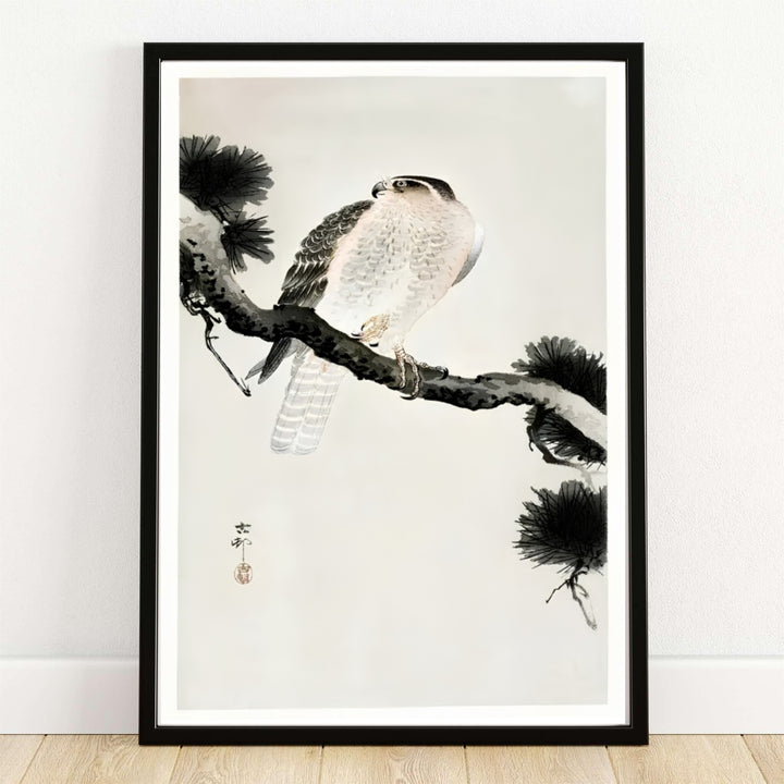 Ohara Koson Hawk On Pine Branch 1900 1930 Japanese woodblock print by artist Ohara Koson set in a Mount Fuji pine forest style. MapYourDreams provides custom framed, unframed paper, and canvas wall art decor choices.