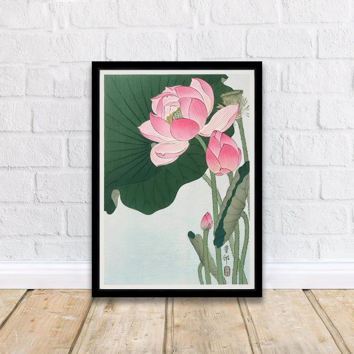 Asian botanical wall art featuring Ohara Koson Blooming Lotus Flowers from a historic Kyoto collection. MapYourDreams delivers archival framed, unframed paper, and gallery canvas prints.