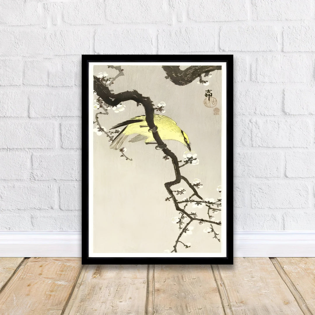 Delicate 1900 1910 Japanese botanical poster displaying white plum blossoms inspired by Kamakura garden culture. Discover tailored framed, unframed, and canvas print decor options at MapYourDreams.