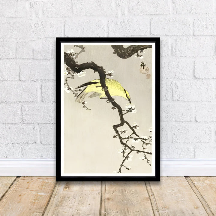 Delicate 1900 1910 Japanese botanical poster displaying white plum blossoms inspired by Kamakura garden culture. Discover tailored framed, unframed, and canvas print decor options at MapYourDreams.