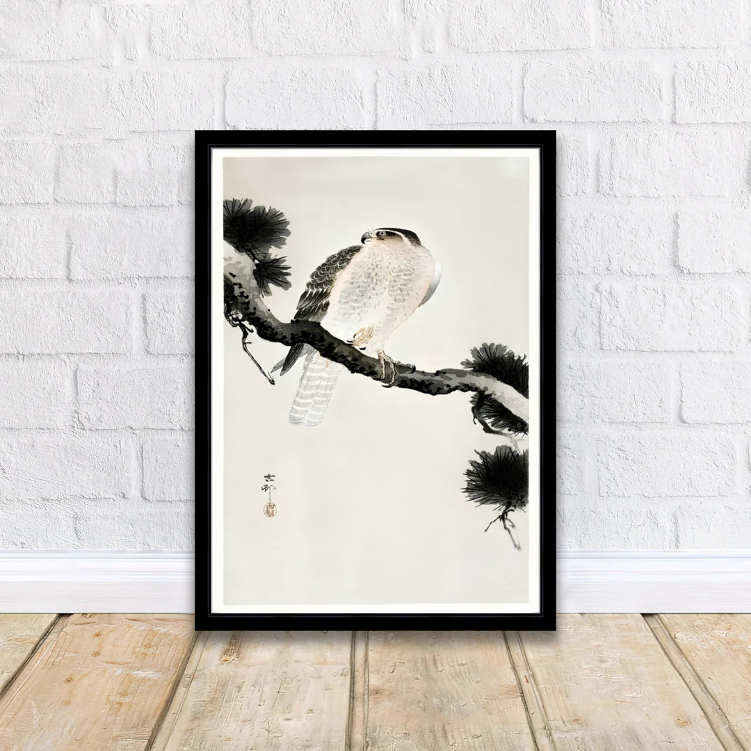 Asian mountain wildlife wall art by artist Ohara Koson featuring Hawk On Pine Branch 1900 1930 from a historic Kyoto collection. MapYourDreams delivers archival framed, unframed paper, and gallery canvas prints.