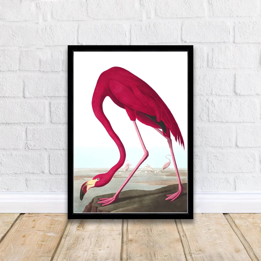 Imbued with a timeless sense of natural wonder tied to early American exploration history, this artistic American Flamingo 1838 wall art rendering balances crisp white space with organic wetland details. Offered by MapYourDreams, interior designers can choose between unframed paper prints, bespoke framed options, and vibrant textured canvas displays.