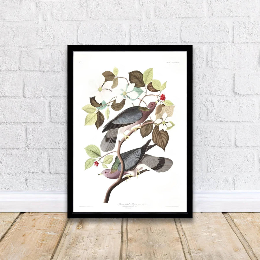 Imbued with a timeless sense of natural wonder tied to early American exploration history, this artistic Band-Tailed Pigeon 1838 wall art rendering balances crisp white space with organic floral details. Offered by MapYourDreams, interior designers can choose between unframed paper prints, bespoke framed options, and vibrant textured canvas displays.